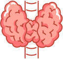 Metabolic Disorders